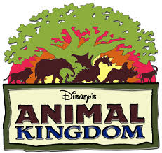animal kingdom 